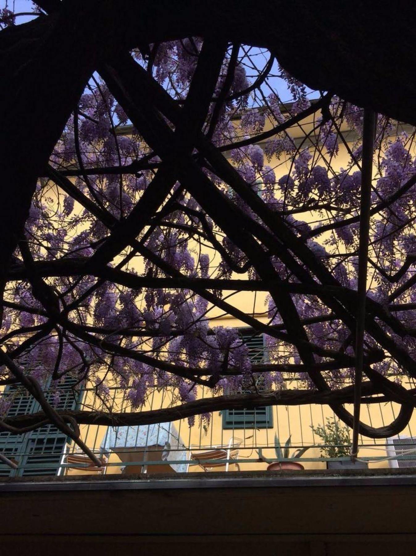 Hotel Stipino Lucca Eksteriør bilde