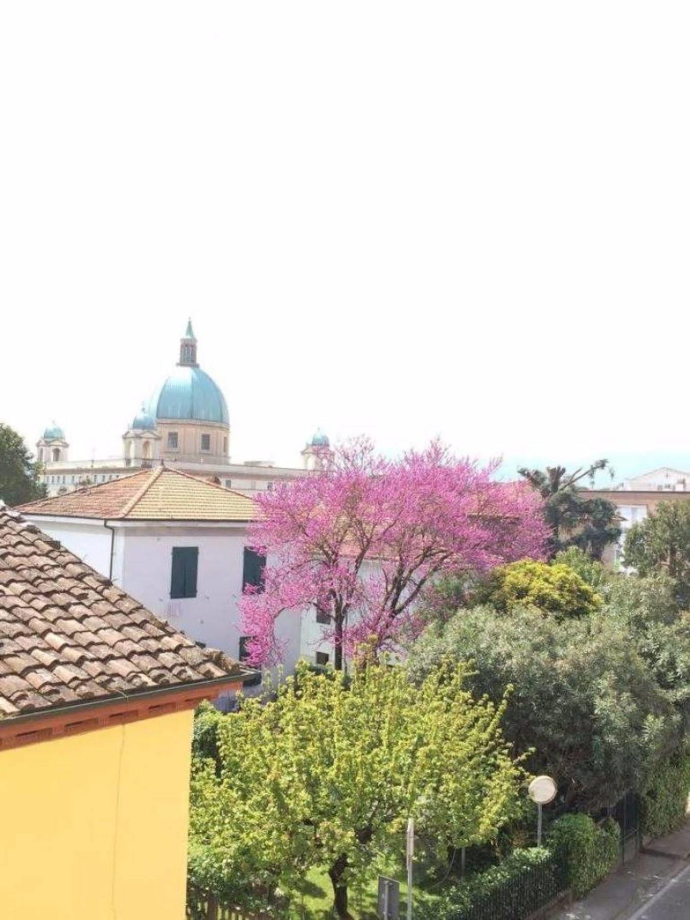 Hotel Stipino Lucca Eksteriør bilde