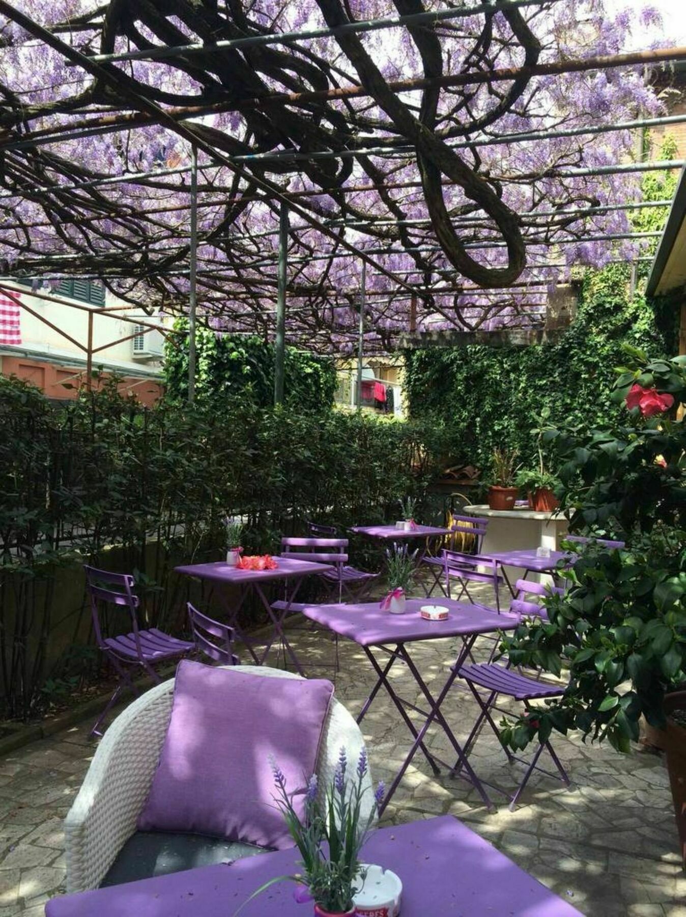Hotel Stipino Lucca Eksteriør bilde